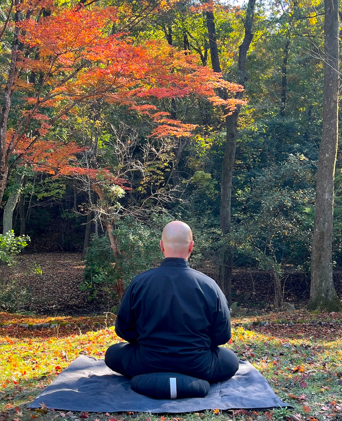 Deluxe Samue Superior Cotton Made in Kurume Japan