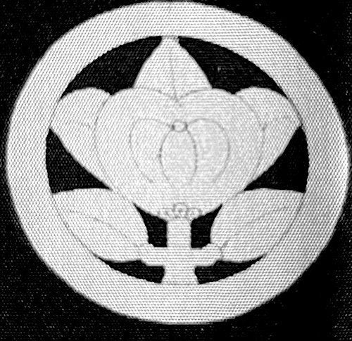 Men’s Antique Haori – Black Silk Tachibana Montsuki – Aki no Nihon Fūkei