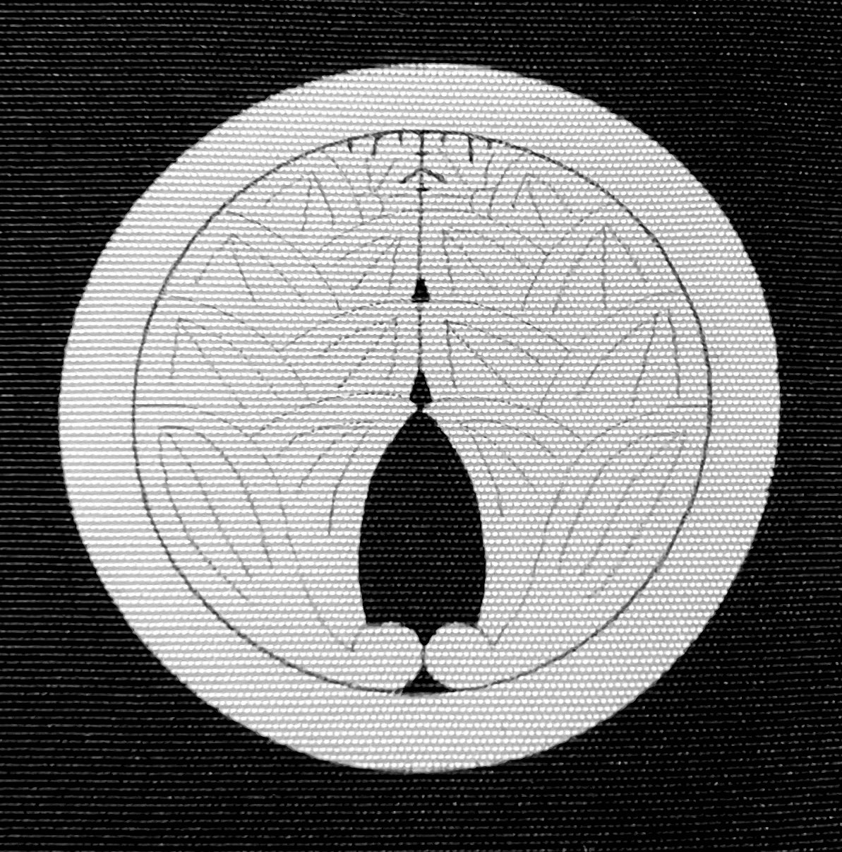 Men’s Haori Antique - Black Silk Dakimyoga Montsuki Temple Ginkakuji & Kinkakuji Kyoto