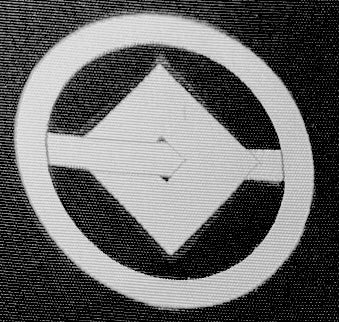 Antique Japanese Men’s Haori - Black Silk Montsuki with Toshogu Nikko Japan