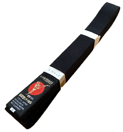 Tokyodo Black Belt Cotton Standart quality (4cm width) - Size 6 (310cm) Tokyodo