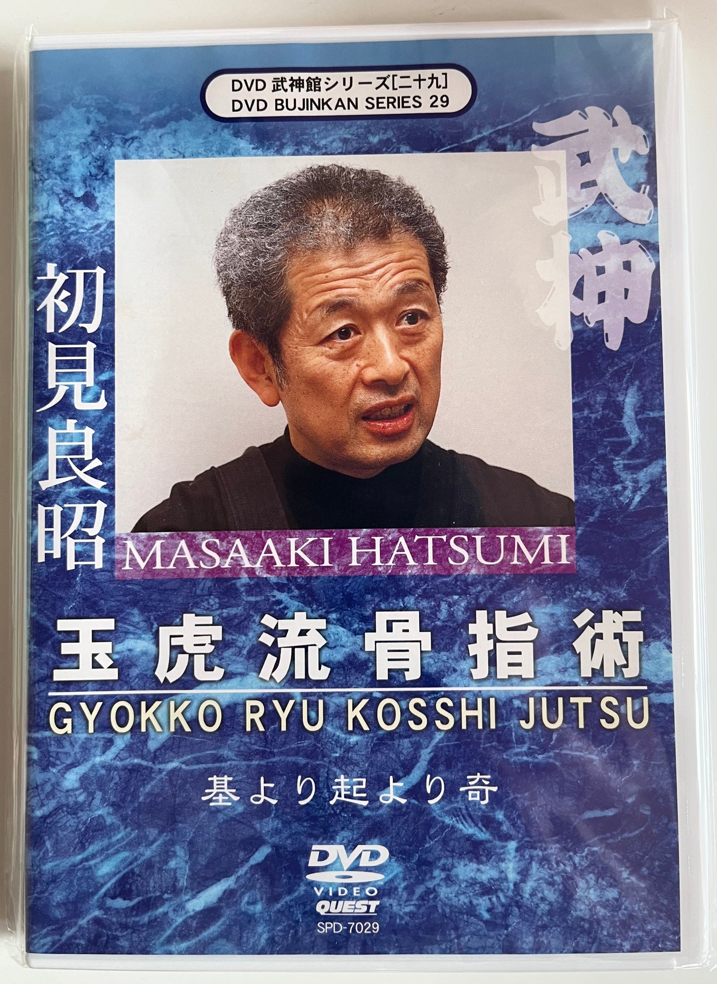Gyokko Ryu Kosshi Jutsu – Bujinkan Ninjutsu DVD