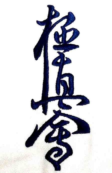 Ichigeki K-100 Kyokushinkai Karategi Size 2 (140 cm)