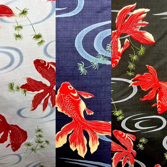 Japanese Summer Hanten Kingyo Goldfish – Made in Japan
