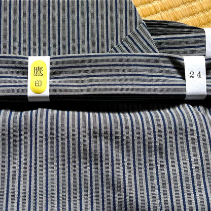 Luxe Iaido Hakama - Blue Marine Striped Shima EMBU - Tozando - Size 24